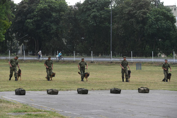 КАСАРНА КНЕЗ МИХАИЛО У НИШУ: Познајемо у душу сваког нашег пса